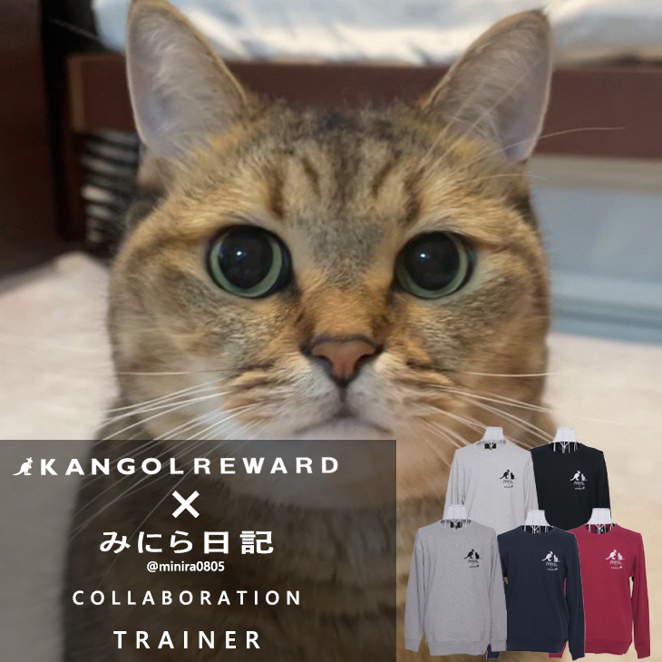 赤楚衛二×KANGOL REWARD コラボトレーナー 赤楚衛二コラボ KANGOL