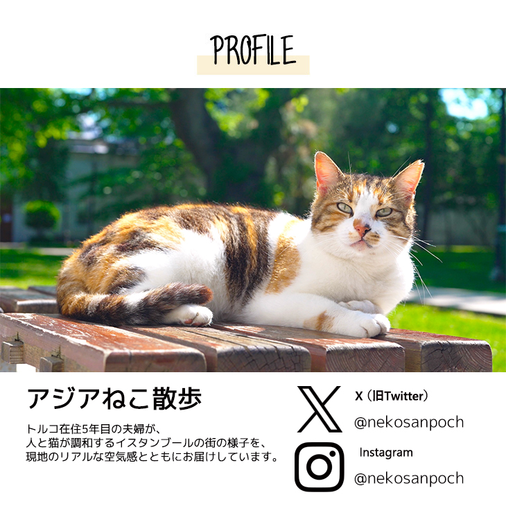 完全受注生産】アジアねこ散歩×KANGOL REWARD コラボ企画！トートバッグ